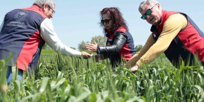 Çanakkale’de ekili ve dikili alanlarda kontroller devam ediyor