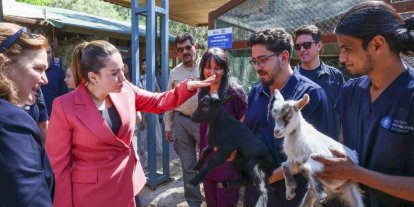 Başkan Vekili Büşra Özdemir: "Veteriner hekimlerin üstlendikleri sorumluluk çok kıymetli"