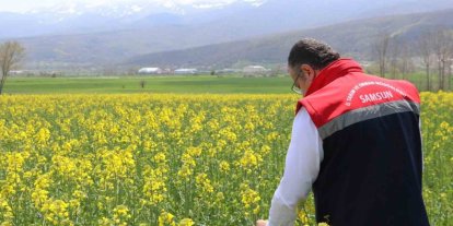 Ayçiçeği ve kuru fasulye tohumları çiftçilere teslim edildi