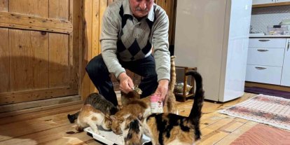 Sokak kedilerine evinin kapısını açtı, onlara yuva oldu