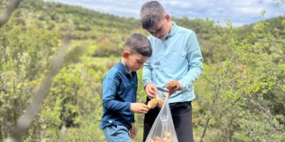 Demirci dağlarında 2 bin liralık kuzu göbeği mesaisi