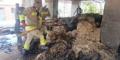 Defne’de samanlık yangını