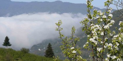 Sakarya’nın yüksek kesimlerinde bahar güzelliği