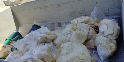 Aydın’da 11 ton süt ürünü imha edildi