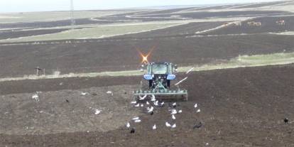 Kars’ta kış uzadı, ekim gecikti: Çiftçi zamanla yarışıyor