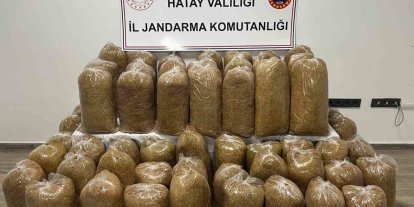 Hatay’da Jandarma’dan geniş çaplı asayiş operasyonu