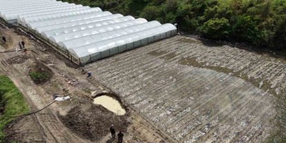 Çiftçinin taşkın nöbeti: Arazisindeki bitkiler Yeşilırmak’tan sızan suyun altında kaldı