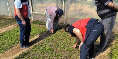 Emet’te seralarda inceleme ve bilgilendirme faaliyetleri