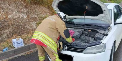 Arsuz’da otomobilin motoruna giren kediler kurtarıldı