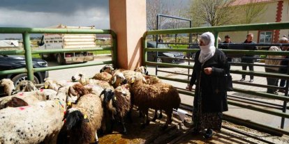 Kadın üreticilere 3 bin küçükbaş hayvan desteği