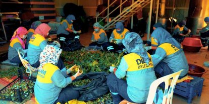 Didim Belediyesi’nin doğal ürünleri halkla buluşuyor