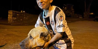 Köyde iki ayının saldırısına uğrayan Sencar’ın imdadına çoban köpeği Kral yetişti