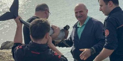 Kayalıklara sıkışan yunusu polis memuru kurtardı