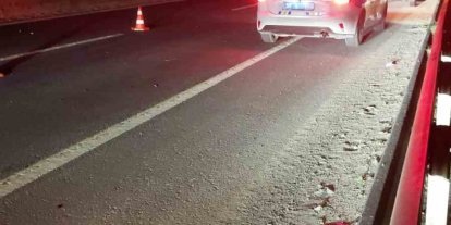 Yola çıkan atlar zincirleme kazaya neden oldu