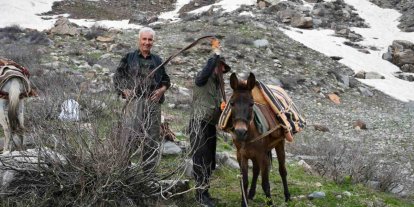 Pancar toplamak için dağ bayır demeden geziyorlar