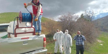 Gümüşhane’de çekirge istilasına uğrayan köyde ilaçlama çalışması başlatıldı