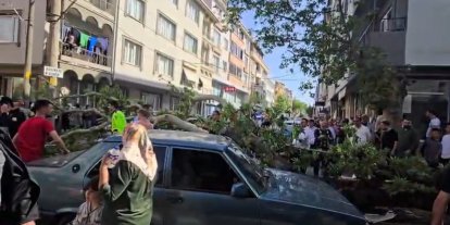 Devrilen ağacın altında kalan motosiklet sürücüsünün durumu ağır