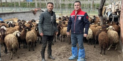 Aydıntepe’de kırsal üretimi destekleyen projede kontroller sürüyor