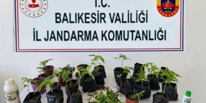 Balıkesir’de uyuşturucu operasyonlarında 64 şüpheli yakalandı