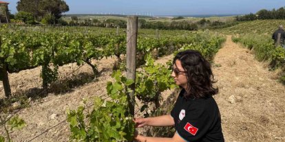 Üreticiler bağ külleme hastalığına karşı uyarıldı