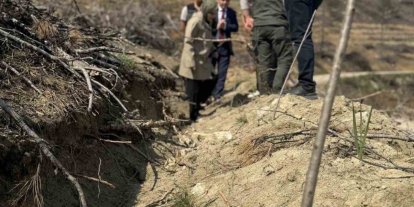 Bilecik’te yangın sahalarında ağaçlandırma çalışmaları incelendi