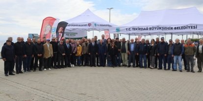 Sebze üreticilerine yarım milyon fide