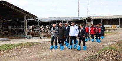 Kurban Bayramı öncesi hayvancılık işletmelerinde inceleme