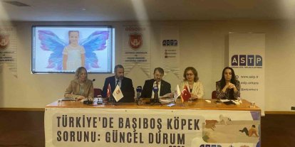 Başıboş köpek mağdurları panelde buluştu