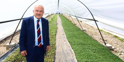 Başkan Güler: "Kendi ürettiğimiz çiçekler ile şehrimizi güzelleştiriyoruz"
