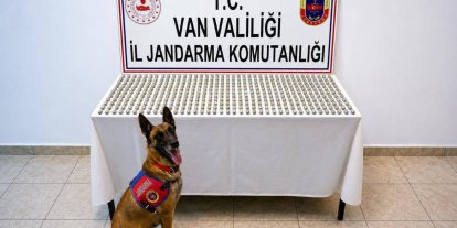 Van’da 8 İranlı’nın midesinde 3 kilo esrar ele geçirildi