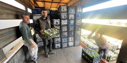 İznik’te mevsimin ilk kabak hasadı