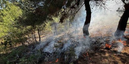 Bilecik’te ormanlık alanda yangın çıktı
