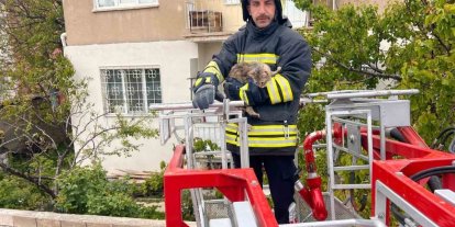Erzincan’da çatıda mahsur kalan kedi itfaiye ekiplerince kurtarıldı