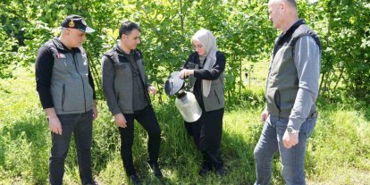 Kahverengi kokarca ile mücadelede 250 feromon tuzağı kuruldu