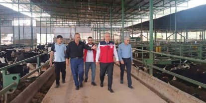 Kurban Bayramı öncesi hayvan satış yerlerinde sıkı denetim