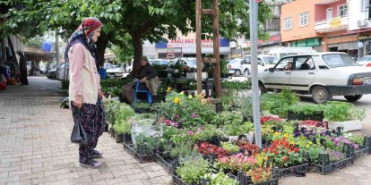 Yayla sezonu öncesi ata tohumu fidelerine yoğun talep