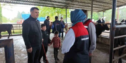 Hayvan sevkiyatına sıkı kontrol