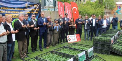 Şırnak’ta 252 üreticiye sebze fidesi dağıtıldı
