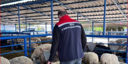 Bolu’da kurban pazarlarına yönelik denetim yapıldı
