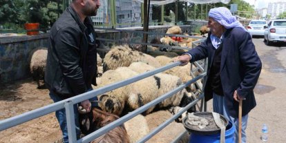 Kurban pazarında sessizlik: Satıcılar son günleri bekliyor