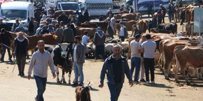 Diyarbakır Canlı Hayvan Borsasında kurbanlık hareketliliği