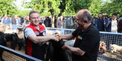 Muğla’da Kurban pazarlarında sıkı denetim