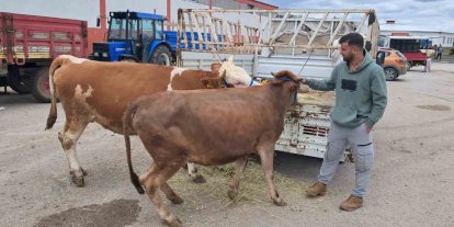 Erzurum’da kurban pazarı hareketlendi