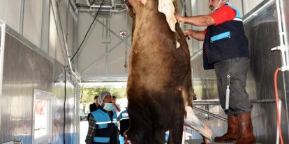 Kurban kesim kurallarına uymayanlara ceza yağacak