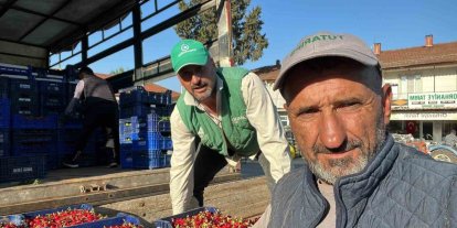 İznik’te mevsimin ilk karabodur kirazı hasadı başladı