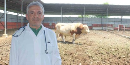 Karanfil "Kesime 6 saat kala yem vermeyin"