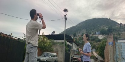 Aydın’da leylek sayımları tamamlandı