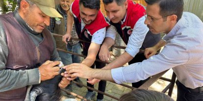 Kurban Bayramı öncesi Bozdoğan hayvan pazarında sıkı denetim