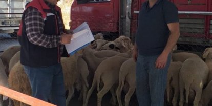 Köşk’te Kurban Bayramı boyunca veteriner denetimleri sürecek