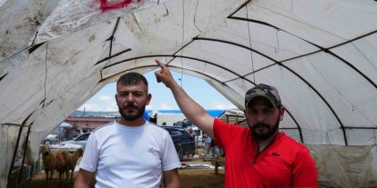 Kurbanlıklar alıcı buldu, yetiştirici bayrama mutlu girdi: "Dedikleri fiyata verdik, milleti kurbansız göndermedik"